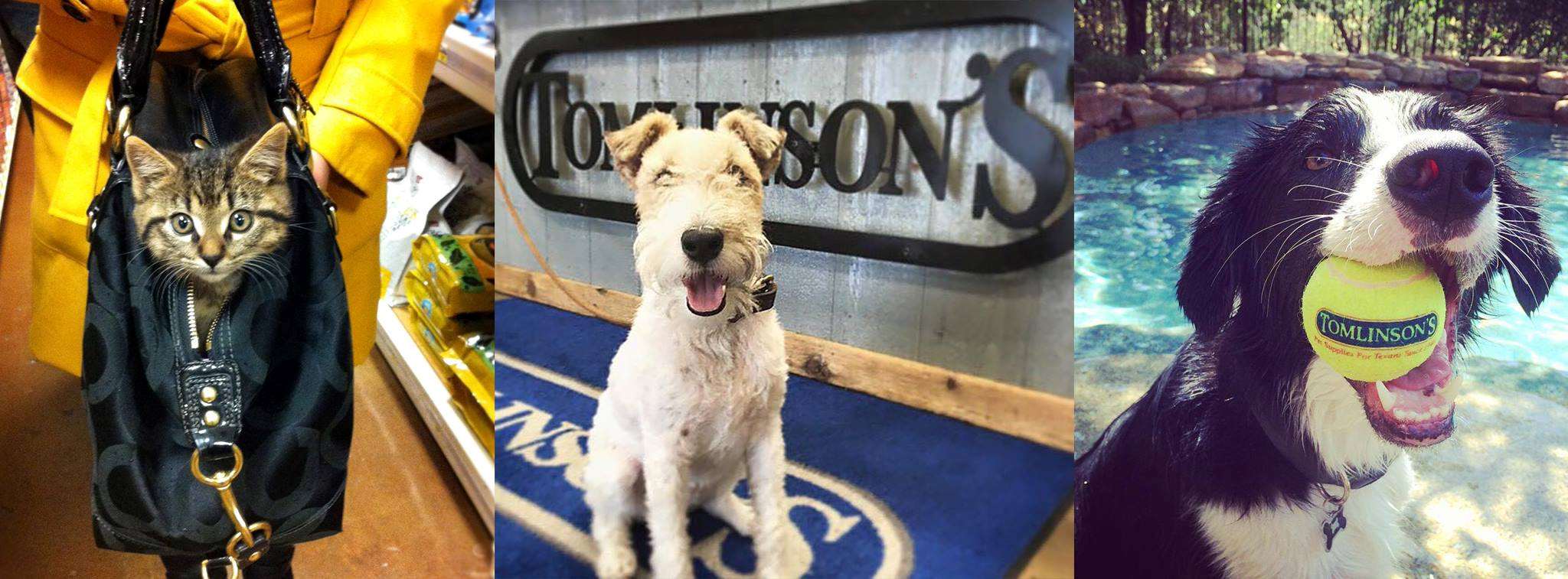 Smart Cookie Barkery products now available at Tomlinson’s Feed